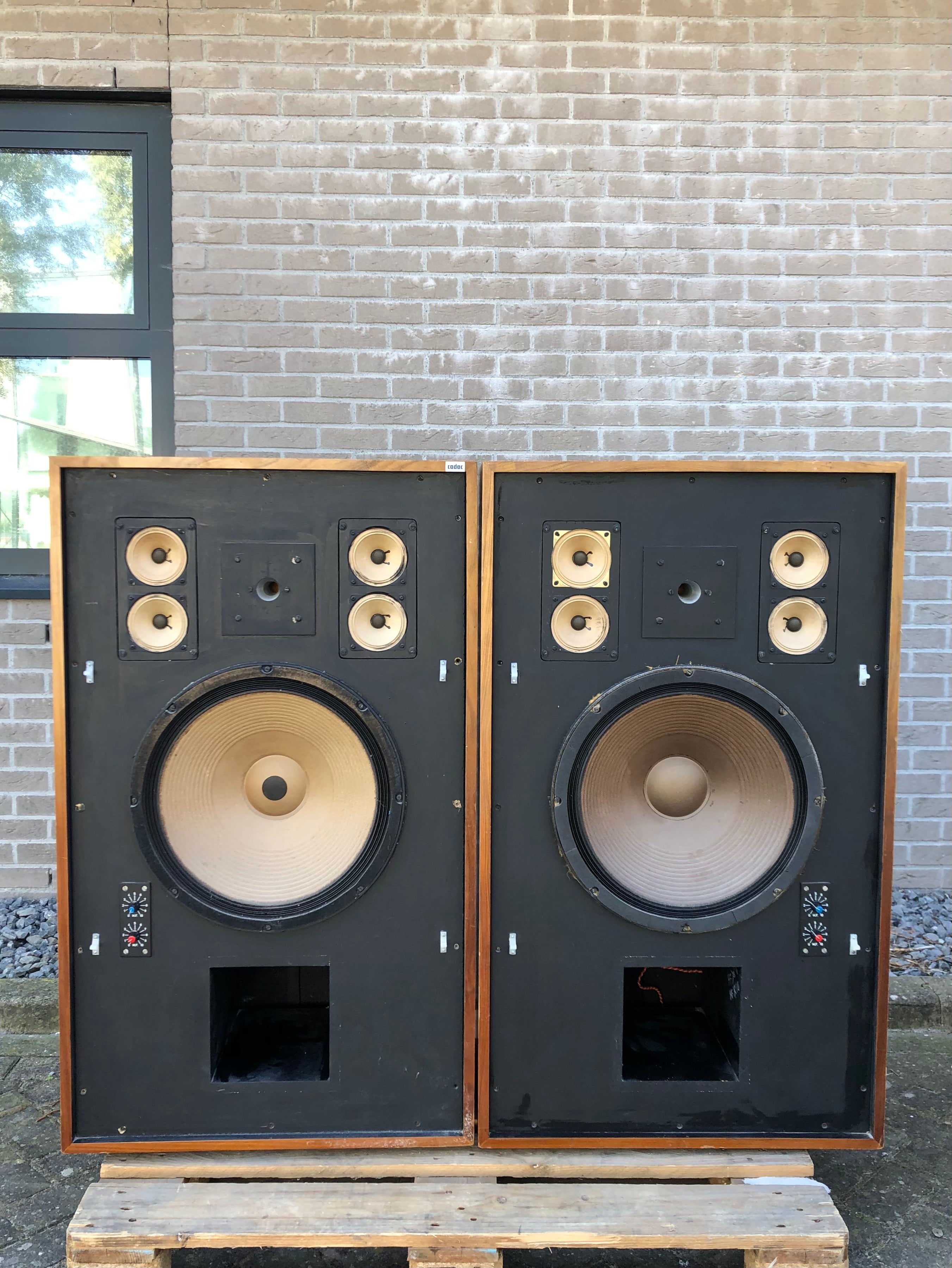 Cadac Custom Mastering Speakers