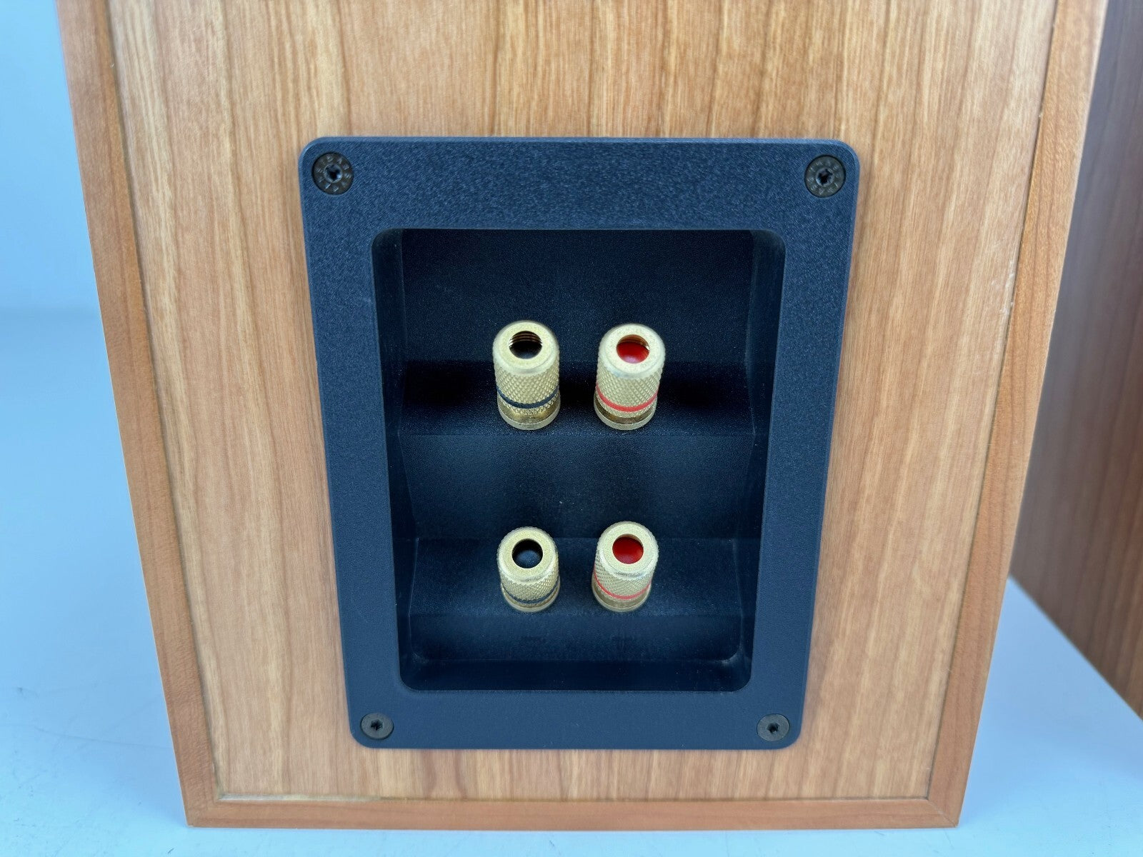 Tannoy Revolution R1 Bookshelf Speakers Set With Manual - Matched Pair - B-Wired